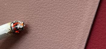 Technology Innovation: Exploring the Stellar Collection Technology Innovation: Exploring the Stellar Collection